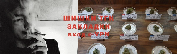 скорость Новозыбков