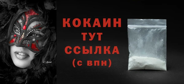 мет Няндома