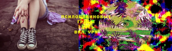 гидра Нягань