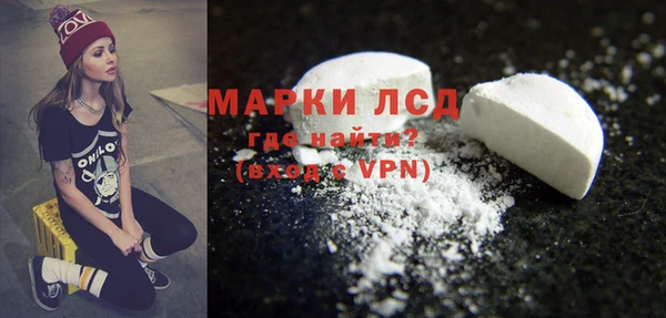 скорость Новозыбков